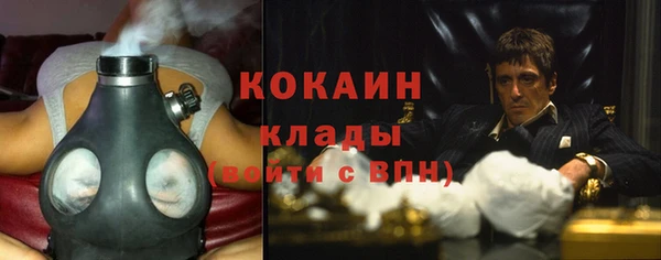 сатива Абинск