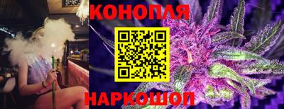 индика Чебаркуль