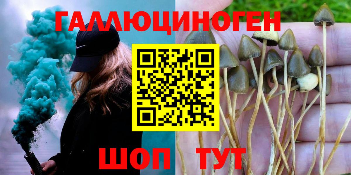 Павловский Посад  Псилоцибиновые грибы Magic Shrooms  купить закладку  Псилоцибиновые грибы мухоморы  Вход с VPN 